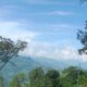 IMG_20260822_093822 80x80